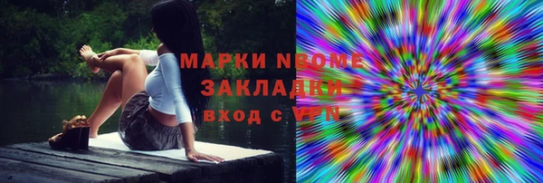 шишки Алексин